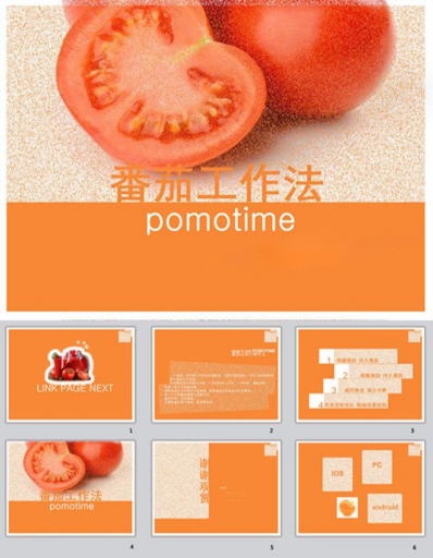 工作方法ppt模板专业版-源码下载吧